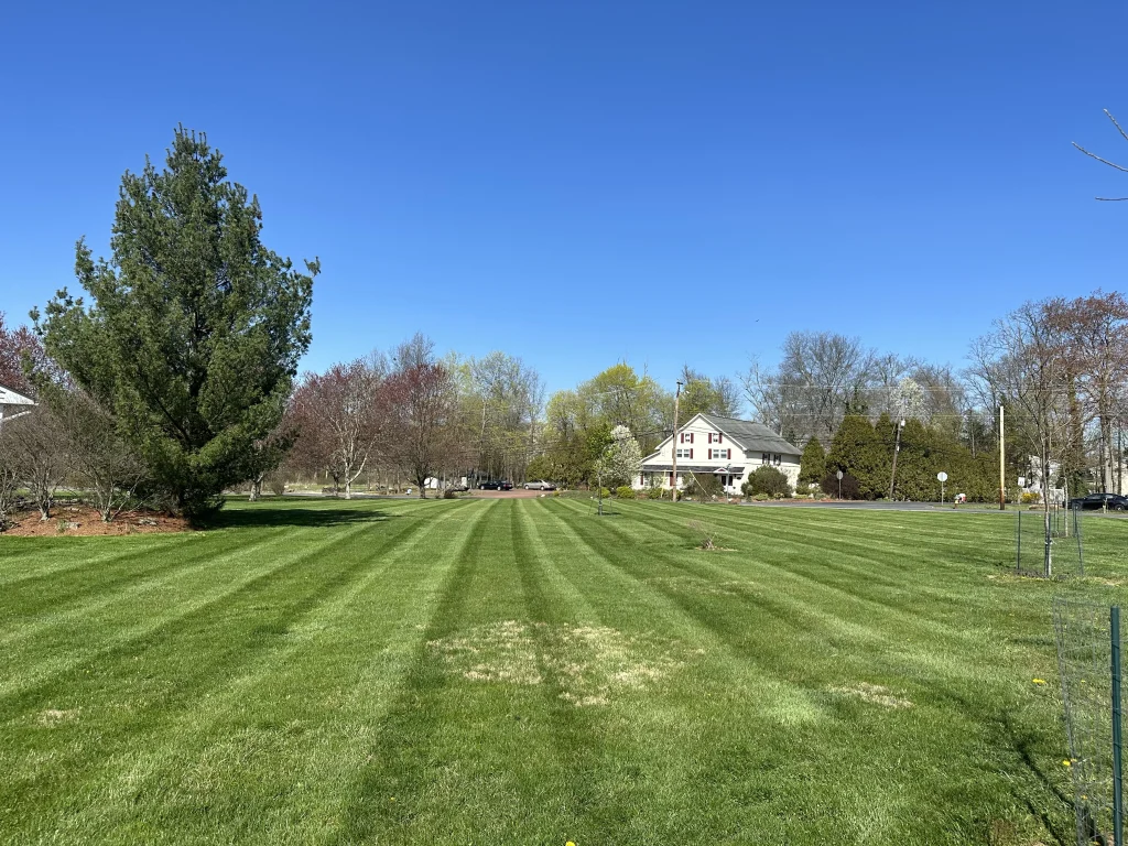 Lawn stripes in Quakertown, PA